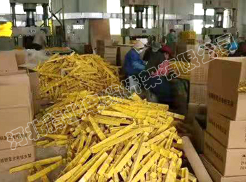 ģѹ����֧��